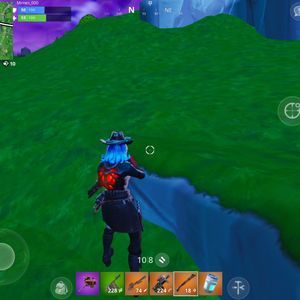 Meet your Posher, Mirnes